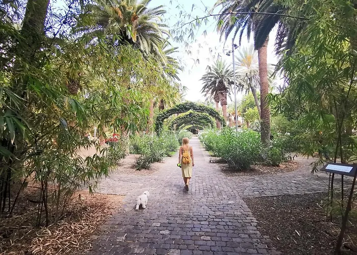 Home2book Sea Front Teresitas 3 San Andrés